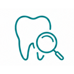 Dental Exams